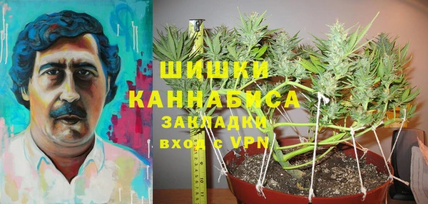 ПСИЛОЦИБИНОВЫЕ ГРИБЫ Нягань