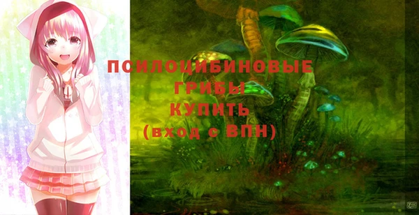 экстази Няндома
