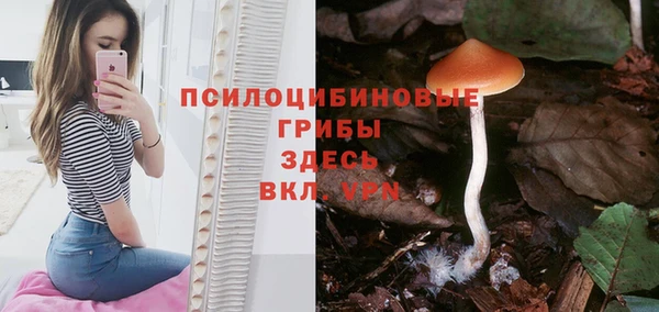 спайс Абдулино