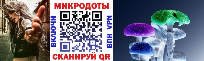 купить   Сертолово  Псилоцибиновые грибы мухоморы 