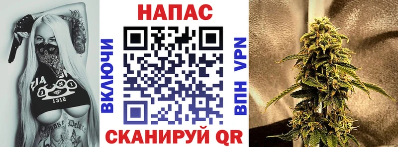 Конопля Ganja  сколько стоит  Сертолово 